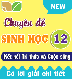 Sinh học 12 Mới (Kết nối tri thức & CS)